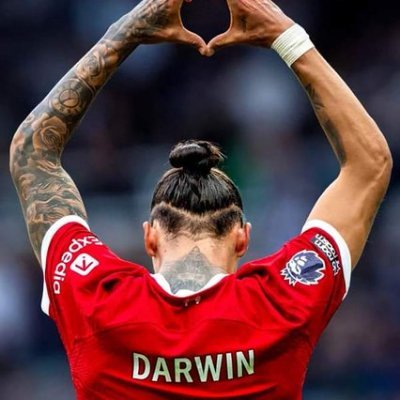 @larscangame's badge